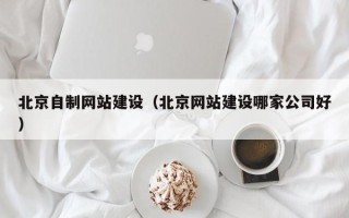 大悟北京自制网站建设（北京网站建设哪家公司好）